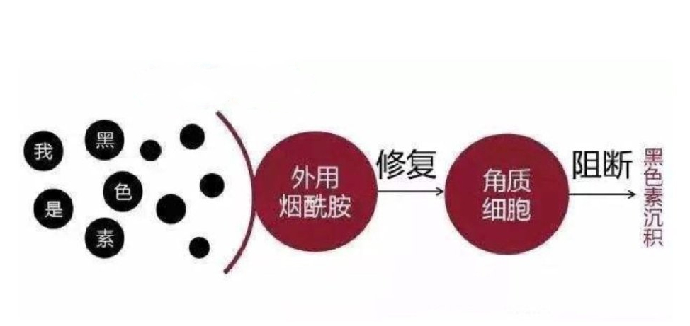 1559735296437941.jpg