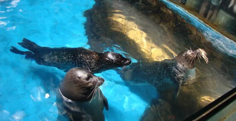 1566454474768780.png 1566454474768780.png