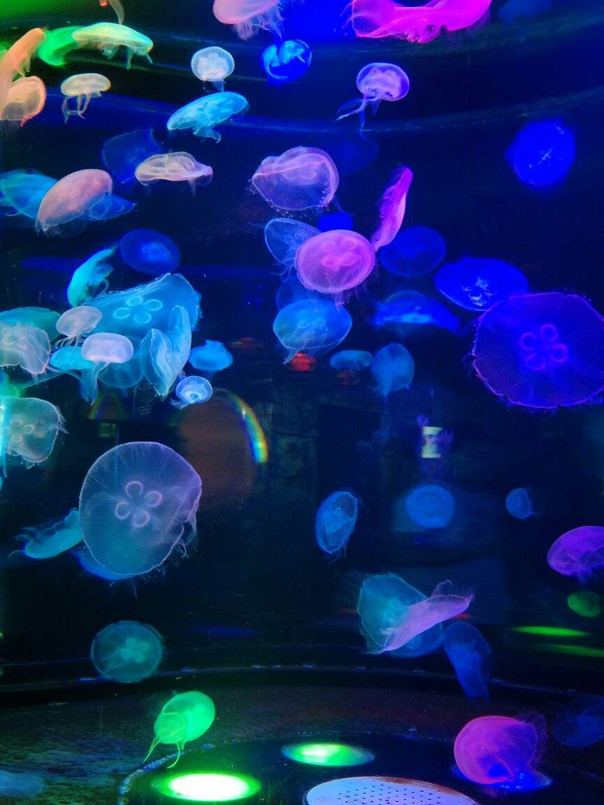 1566454696331436.jpg 1566454696331436.jpg