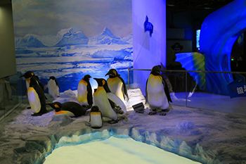 1566455992605508.jpg 1566455992605508.jpg