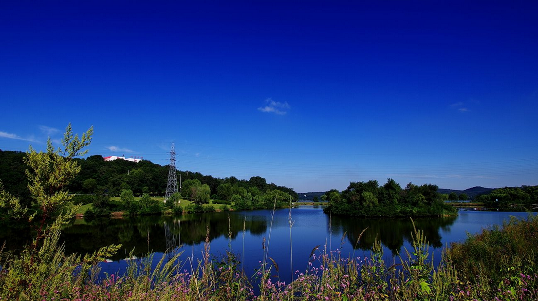 1562664509768635.png 1562664509768635.png