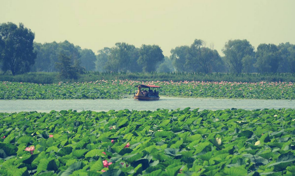 1562664613340665.png 1562664613340665.png