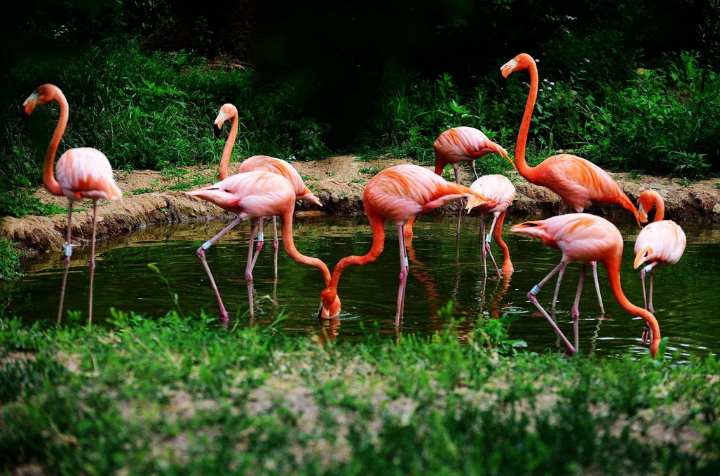 1562749399103619.png 1562749399103619.png