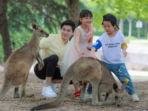 2022上海野生动物园亲子一日游攻略门票游玩路线推荐表演时间科普互动