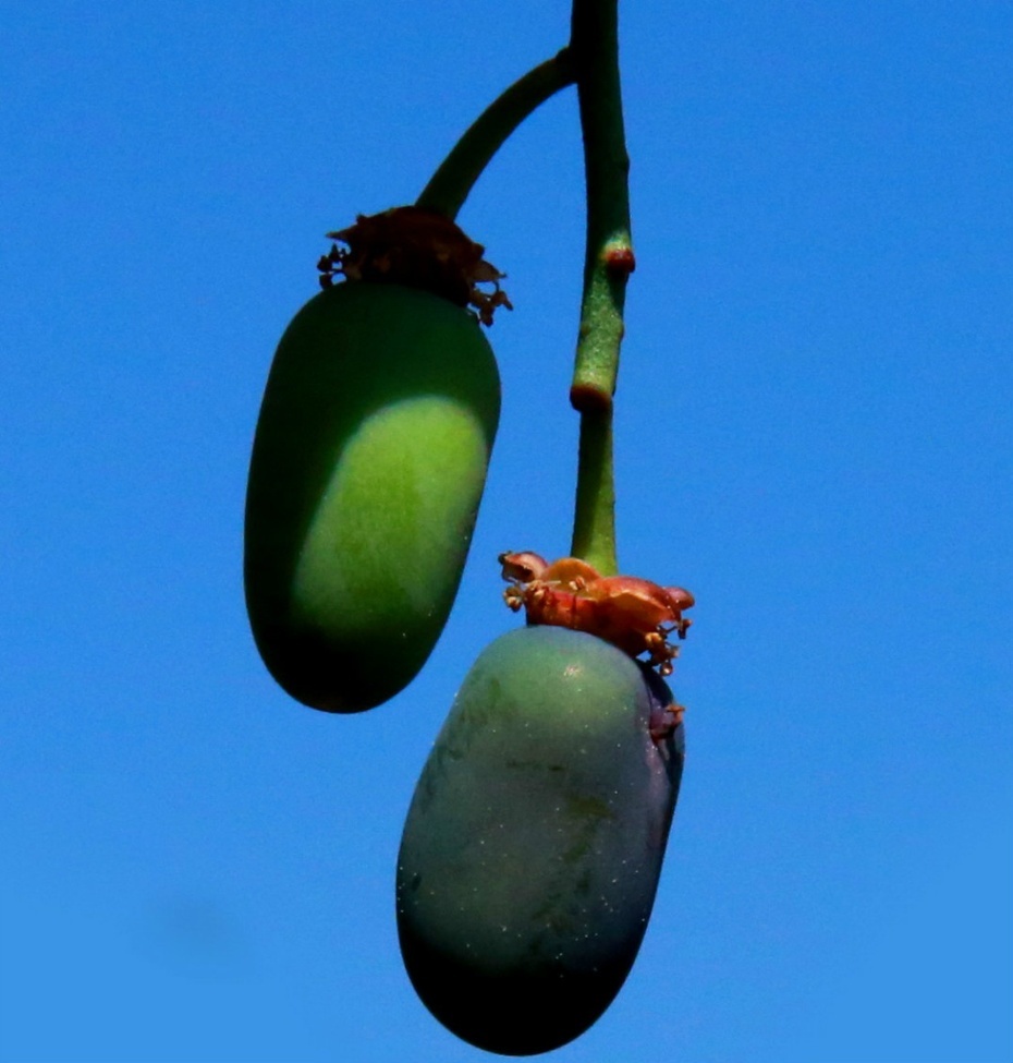 1552979051958301.jpg 1552979051958301.jpg