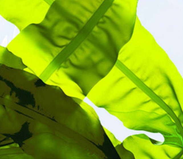 1578133936492586.png 1578133936492586.png