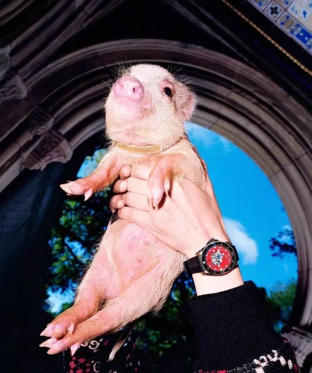 1547887701535505.jpg 8b350a5020b54929a803591668d4b644.jpg