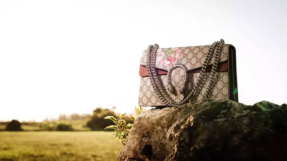 1544681614556757.jpg q2.jpg