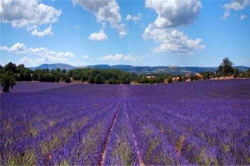 1553654966963967.jpg 1553654966963967.jpg