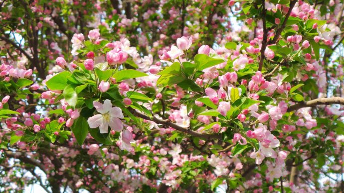 1553651861573016.jpg 1553651861573016.jpg