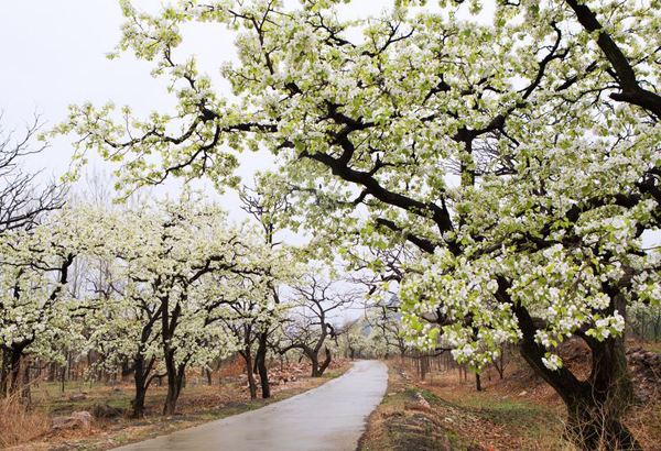 1553649765851680.jpg 1553649765851680.jpg