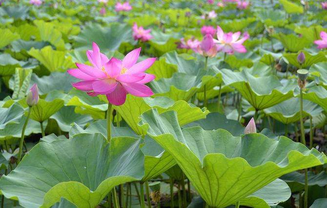 1553655916160971.png 1553655916160971.png