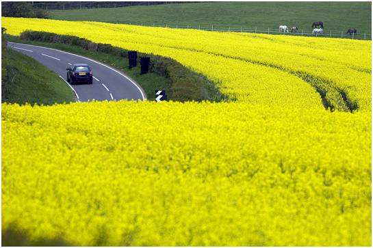 1553653900309105.jpg 1553653900309105.jpg