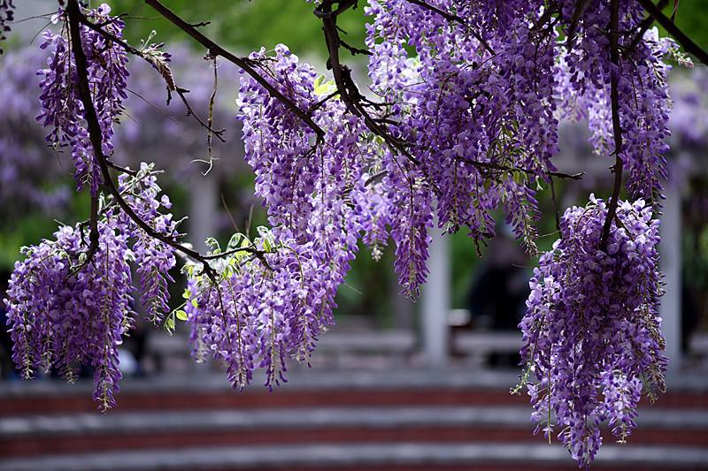 1553652964213839.jpg 1553652964213839.jpg