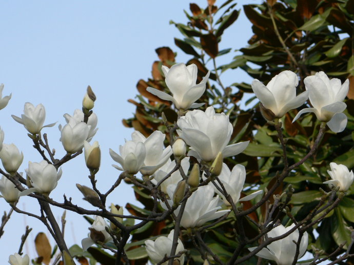 1553652492920997.jpg 1553652492920997.jpg