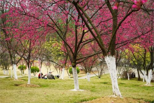 1553651429818617.jpg 1553651429818617.jpg