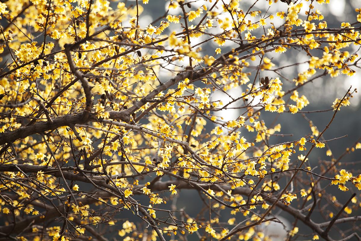 1553658317235514.jpg 1553658317235514.jpg