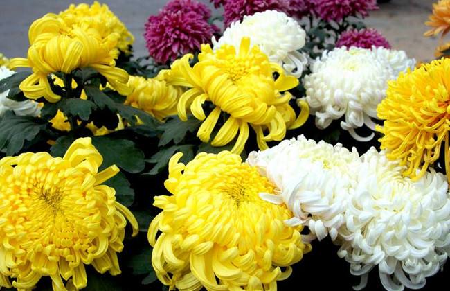 1553657450304406.jpg 1553657450304406.jpg