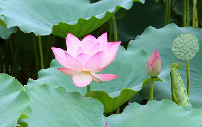 1553656319850556.png 1553656319850556.png