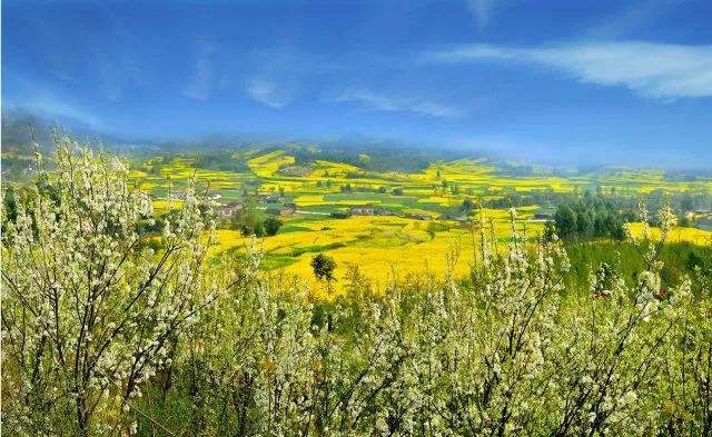 1553132228708729.png 1553132228708729.png