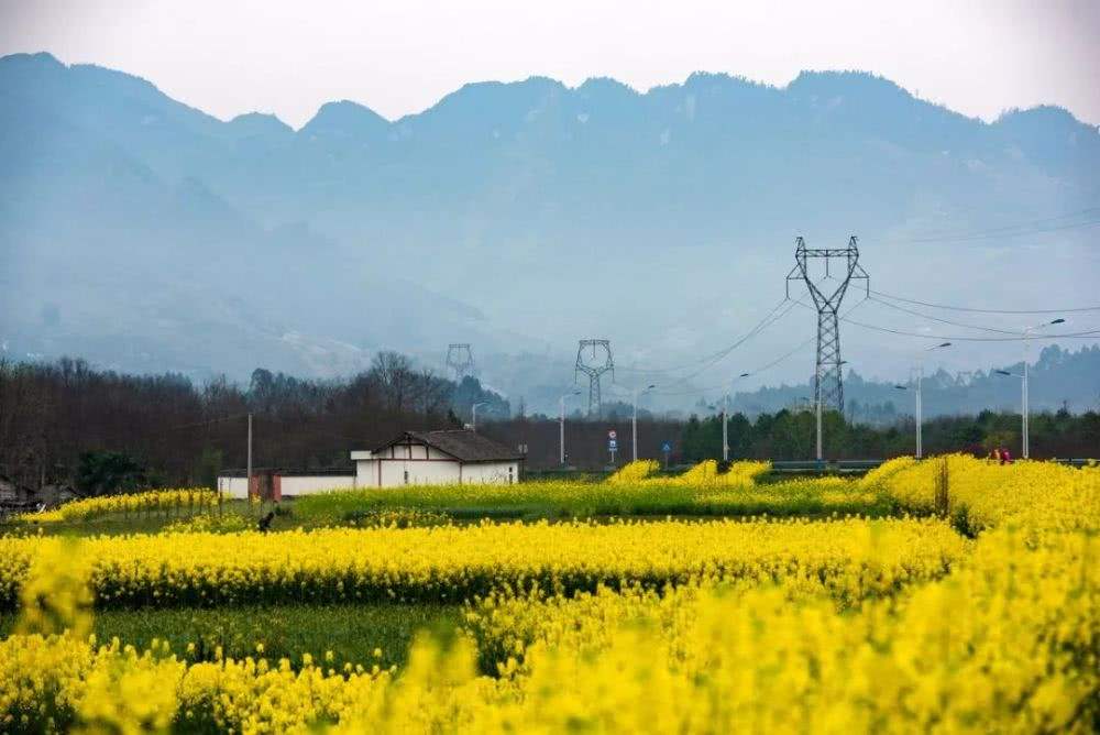 1553131463589205.jpg 1553131463589205.jpg