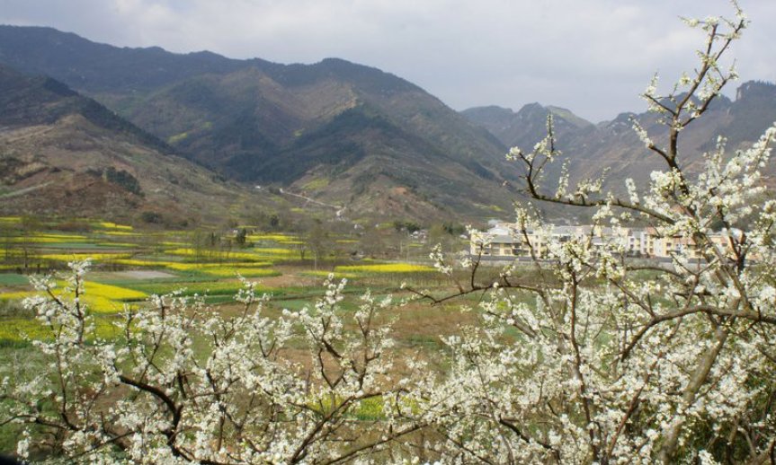 1553138304706256.png 1553138304706256.png