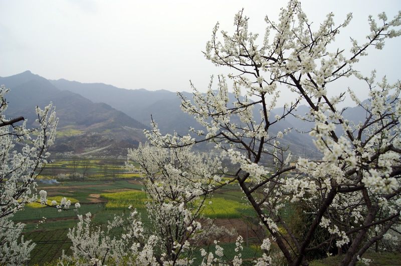 1553132355642829.jpg 1553132355642829.jpg