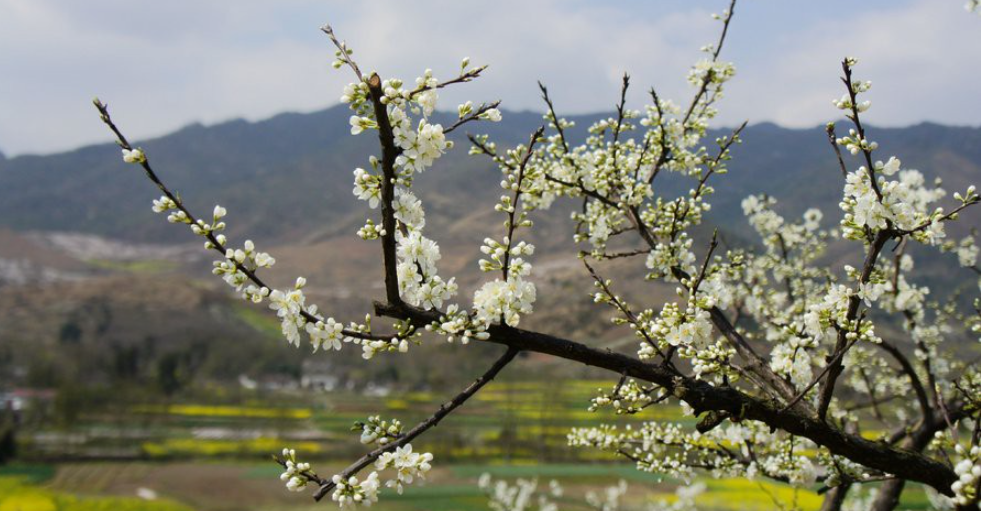 1553138222804740.png 1553138222804740.png