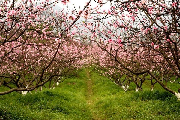 1553138556697385.jpg 1553138556697385.jpg