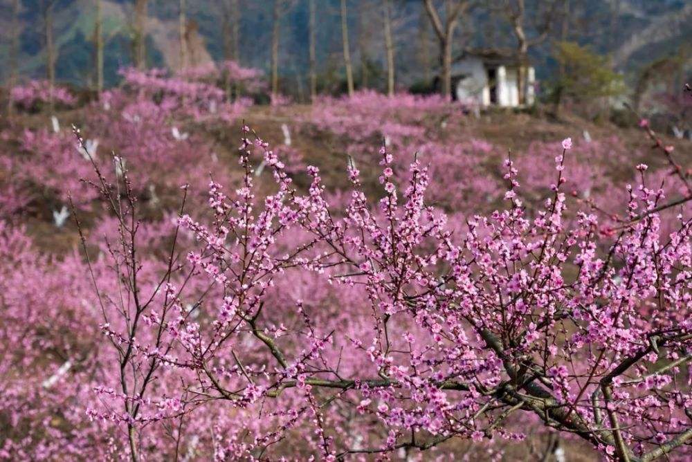 1553132297474997.jpg 1553132297474997.jpg