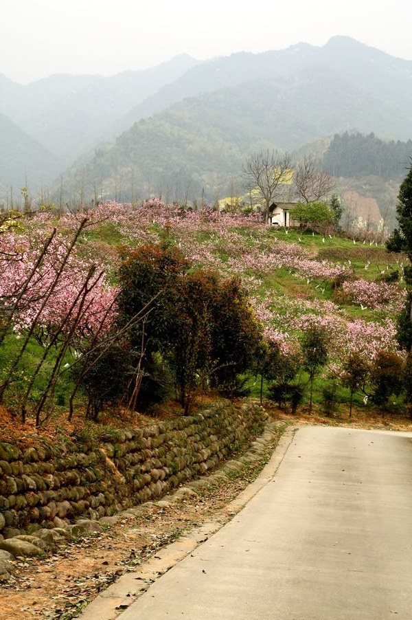 1553138711676949.jpg 1553138711676949.jpg