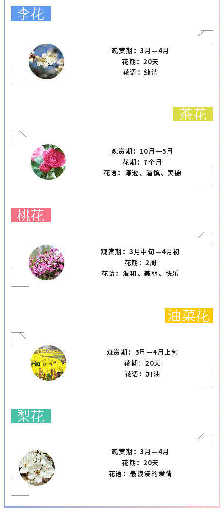 1553145186178803.png 1553145186178803.png