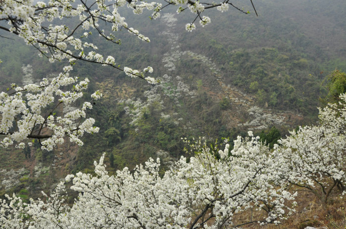 1553139710503872.jpg 1553139710503872.jpg