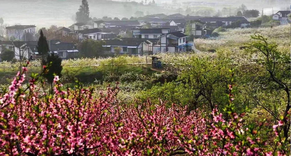 1553140105358953.png 1553140105358953.png