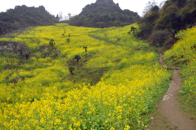 1553139752211873.jpg 1553139752211873.jpg