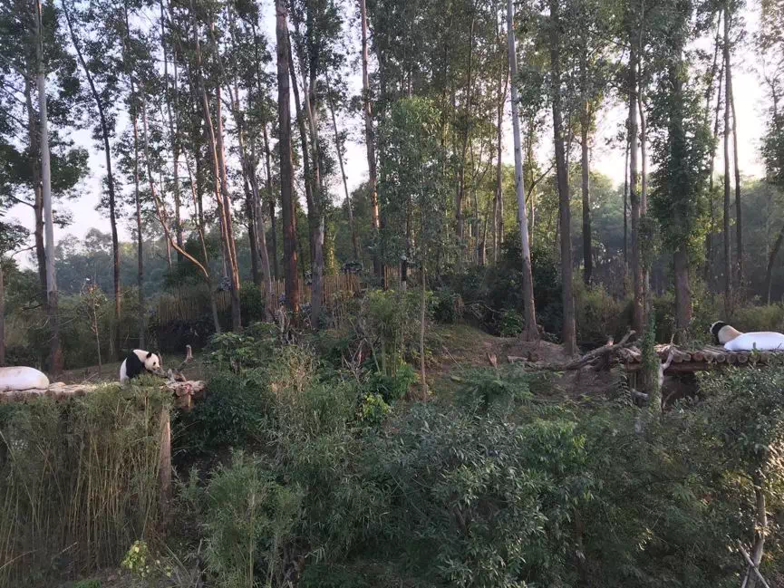 1562204019477311.png 1562204019477311.png