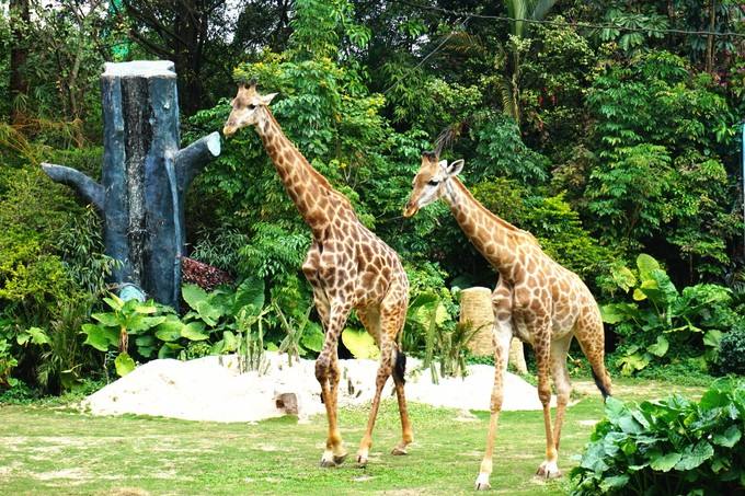 1562206693968372.jpg 1562206693968372.jpg