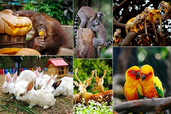 1562206747926922.jpg 1562206747926922.jpg