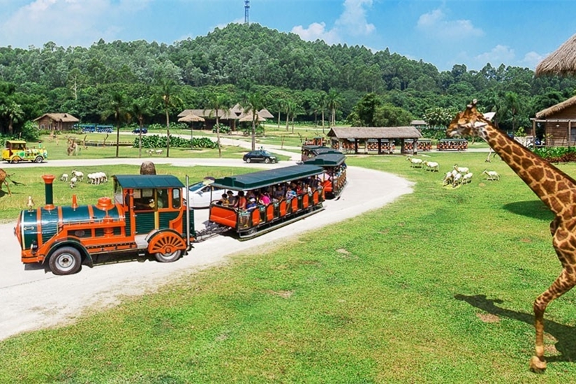 1562204564360407.jpg 1562204564360407.jpg