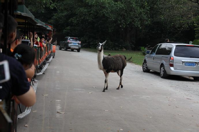 1562202946508222.jpg 1562202946508222.jpg