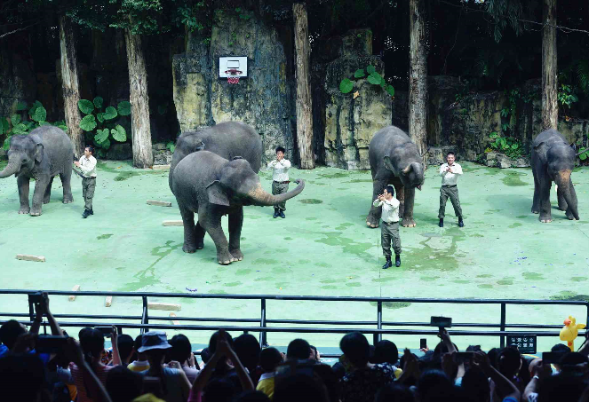 1562205375614488.png 1562205375614488.png