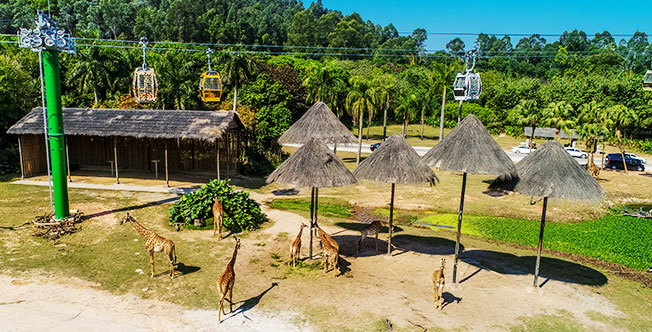 1562204144907307.jpg 1562204144907307.jpg