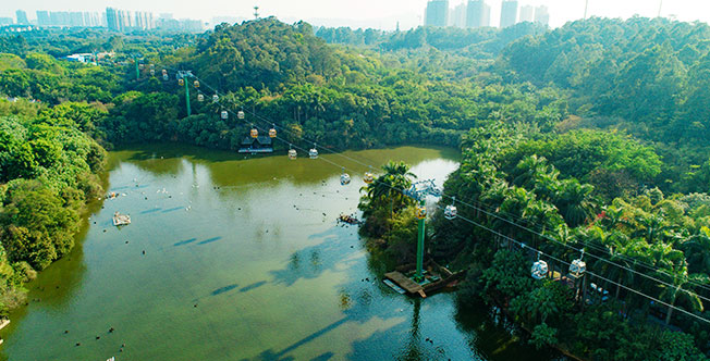 1562204220320925.jpg 1562204220320925.jpg