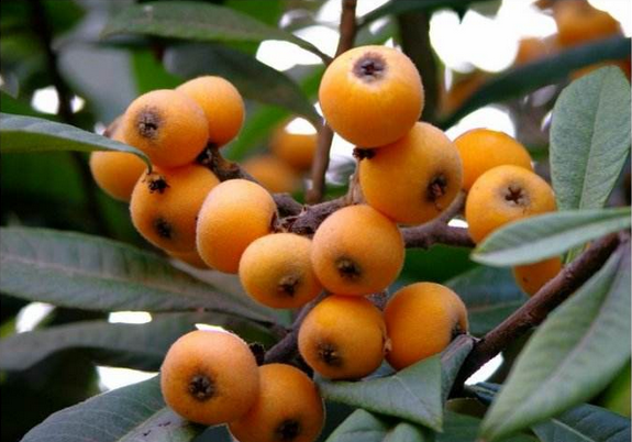 1556259618127893.png 1556259618127893.png