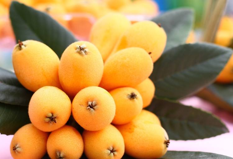 1556259569310524.jpg 1556259569310524.jpg