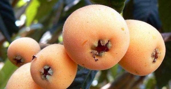 1556259273787567.jpg 1556259273787567.jpg