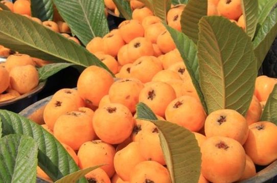 1556259224149131.jpg 1556259224149131.jpg