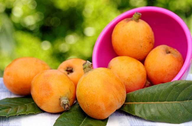 1556259536928217.jpg 1556259536928217.jpg