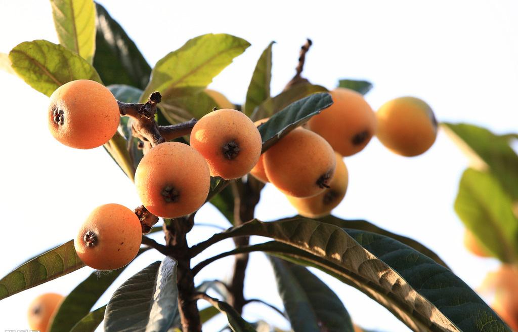 1556259713369854.jpg 1556259713369854.jpg