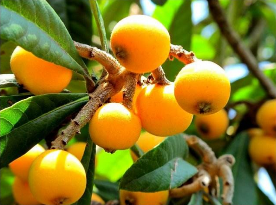 1556259492226495.png 1556259492226495.png